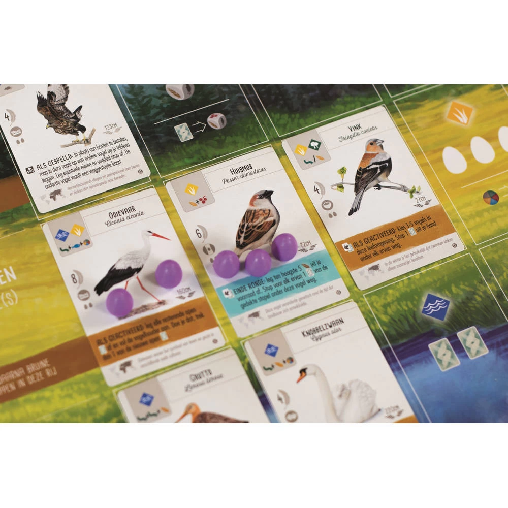 999 Games Wingspan Uitbreiding: Europa 8 999 Games Wingspan Uitbreiding: Europa - Afbeelding 6